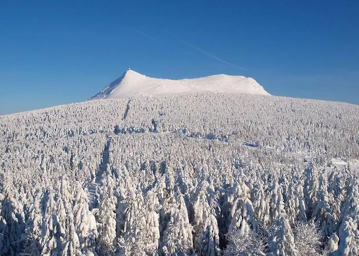 Holiday home La P'tite Maison Saint-Hostien